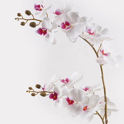 Διακοσμητικό φυτό σε γλάστρα Οrchid White Inart 36x17x65εκ